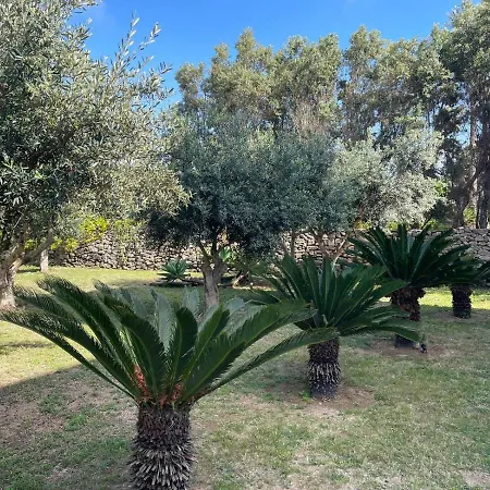 בית הארחה Calafato *